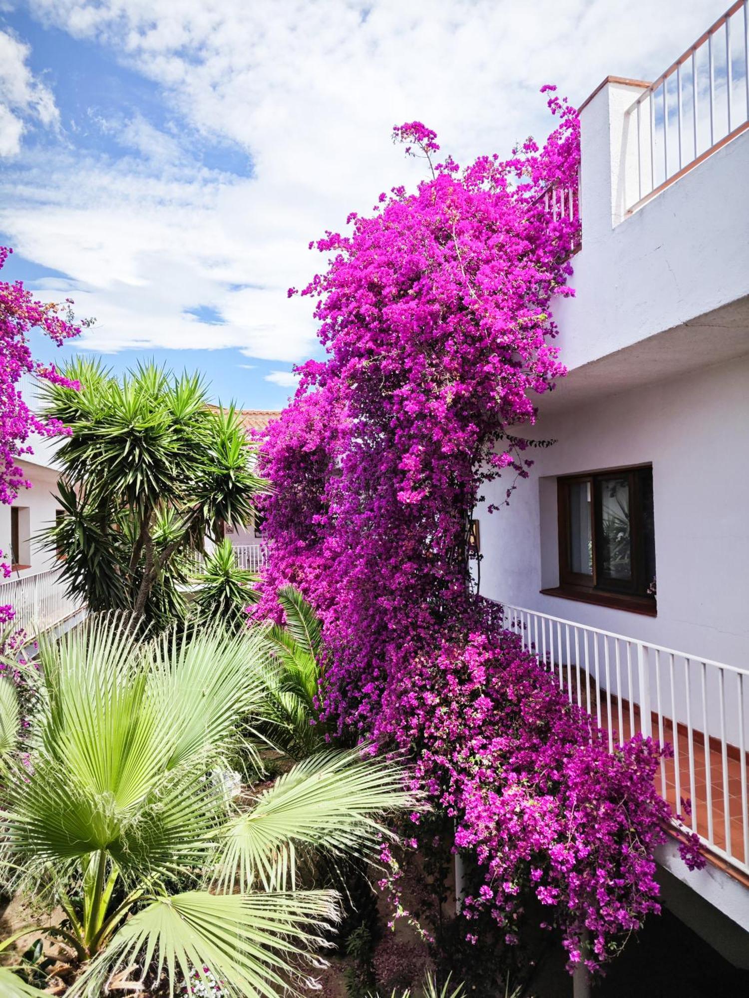 El Penell Apartament Llevant Vilamaniscle Exterior foto